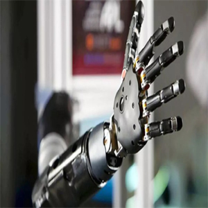 Prosthesis Image